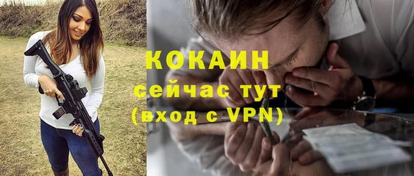 индика Белая Холуница