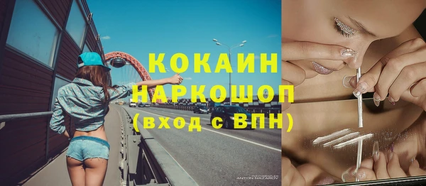 2c-b Новозыбков