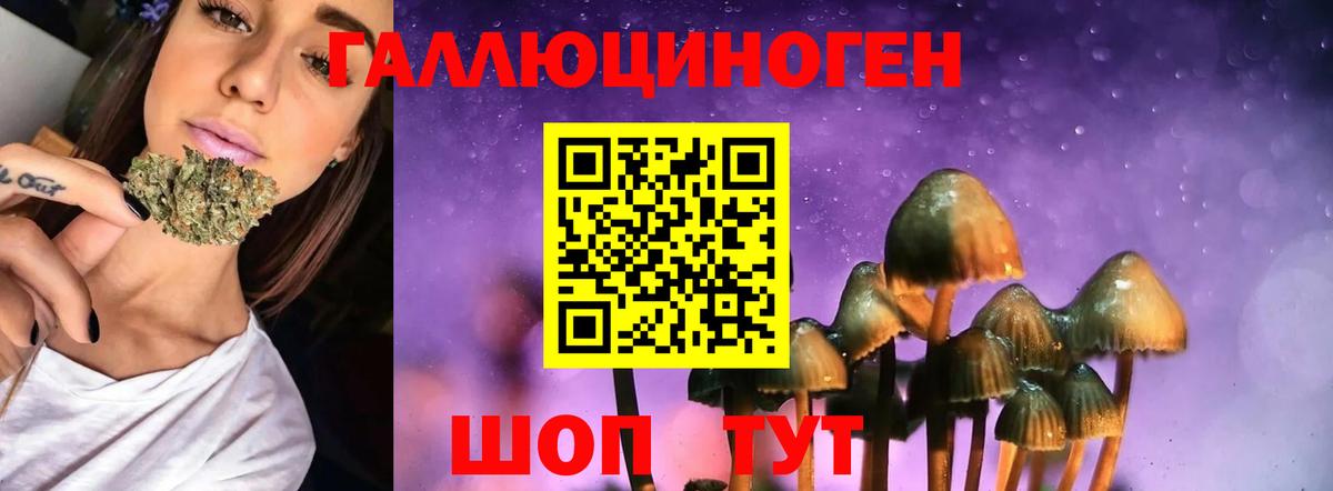 Галлюциногенные грибы мицелий  Вход с VPN  Тверь 