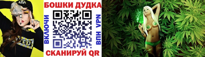 как найти   Тверь  МАРИХУАНА SATIVA & INDICA 
